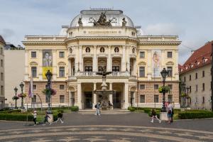 Hosté ubytování Chestnut apartment Old Town