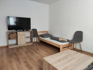 a living room with a bed and a tv at Apartmány Opolany in Opolany