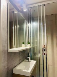 a bathroom with a sink and a mirror and a shower at Le Cocon Croix de la Pucelle - 1 chambre in Orléans