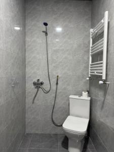 a bathroom with a shower and a toilet in it at Hostel Tsalka in Tsalka +22 photos