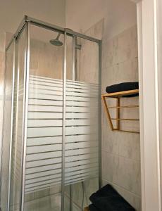 a shower with a glass door in a bathroom at Haus Sonnenschein in Reuterstadt Stavenhagen