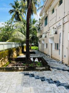 a palm tree in front of a building at Rock Finch Holiday Homes - Malpe Beach in Udupi
