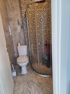ein Badezimmer mit Toilette und Dusche in der Unterkunft Çakır villa in Silifke