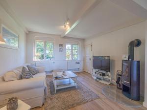 TV a/nebo společenská místnost v ubytování Ferienhaus Lindenkate