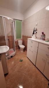 a bathroom with a toilet and a sink and a shower at Apartmani Ana Kamenari in Ðurići +25 photos