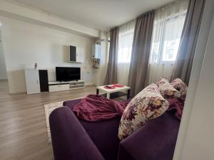 TV a/nebo společenská místnost v ubytování Apartamentul Familiei 3 langa Aeroport Otopeni