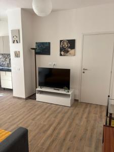 a living room with a large flat screen tv at Appartamento Primavera in Cremona