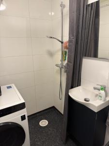 a small bathroom with a shower and a sink at Pet-friendly housing in Bjørkheim
