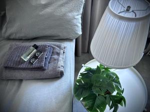 a lamp and a towel on a couch with a plant at Frost Longstay Lakeside in Kiruna