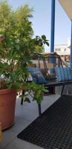 a bench and a potted plant on a balcony at Traumfänger in Heltersberg