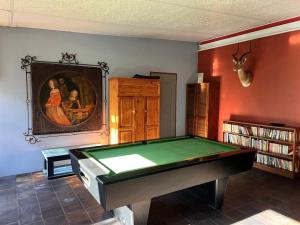 una habitación con mesa de billar y un cuadro en la pared en Waterval Karoo Guest Farm, en Laingsburg