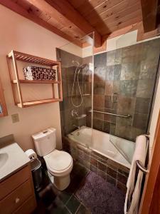 a bathroom with a toilet and a shower and a sink at Perfect Vermont Battenkill Log Cabin in Arlington +33 photos