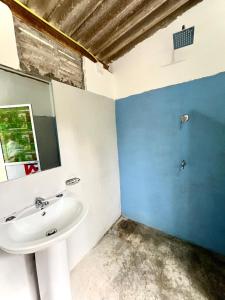 a bathroom with a sink and a mirror at Sigiri Birds Hostel in Sigiriya +32 photos