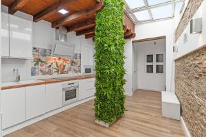Η κουζίνα ή μικρή κουζίνα στο Casa Descaro de las Flores +13 φωτογραφίες