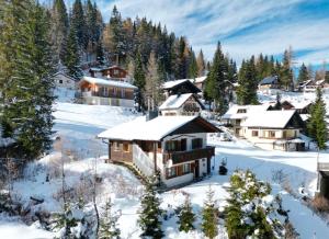 a village covered in snow with trees and houses at Chalet Heinrich Ski in & Ski out - Apartment Bergblick in Sonnenalpe Nassfeld