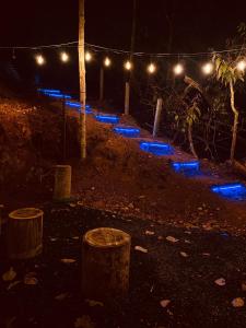 a lit up park at night with blue lights at Bambus Alley in Wayanad