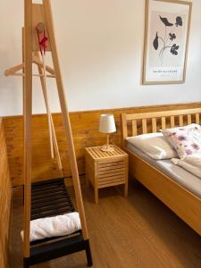 a bedroom with a bunk bed with a ladder at Rezidence U Kamenného mostu in Písek