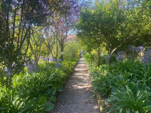 a path through a garden with flowers and trees at Quinta do Vale Vaqueiro in Sever do Vouga