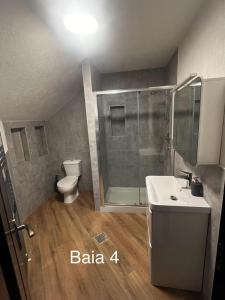 a bathroom with a shower and a sink and a toilet at Casa Luna Șirnea in Şirnea +13 photos