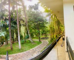 a room with a view of a palm forest at e34 Café, Restaurant & Hotel Koslanda Hideaway with a Private Natural Pool in Koslanda