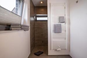 Un baño con ducha a ras de suelo y toallas. en Ferienhaus "Gartenhaus mit Dachterrasse", en Burg auf Fehmarn