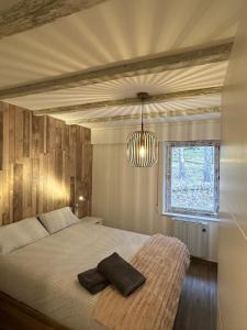 a bedroom with a bed with a chandelier and a window at Apartamentos La Pinilla in La Pinilla