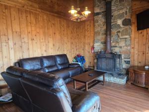 Wofford Heightsにある3BR Panoramic Lake View, Sequoia Forest, Kern Countyのリビングルーム(革張りのソファ、暖炉付)