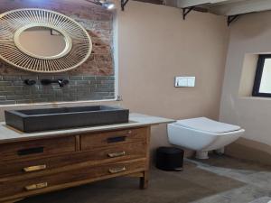a bathroom with a sink and a toilet and a mirror at Little Orvyll's in Marloth Park +10 photos