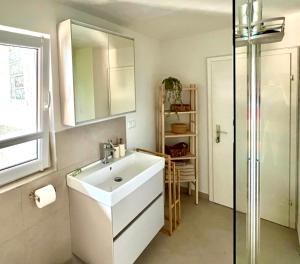 a bathroom with a sink and a glass shower at Auszeit zwischen Mosel und Nürburgring in Kehrig +16 photos