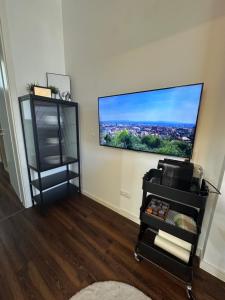 Μια τηλεόραση ή/και κέντρο ψυχαγωγίας στο Gemütliche City Wohnung mit Terrasse 4 Betten