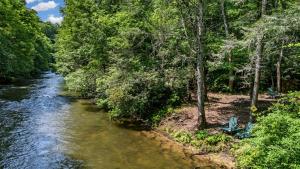 a river with trees on the side of it at 5br Waterfront Creek Home Hot Tub & Views in McCaysville