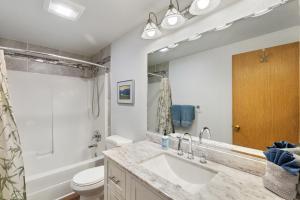 a bathroom with a sink and a toilet at Close to downtown on Riverfront Park in Missoula +26 photos