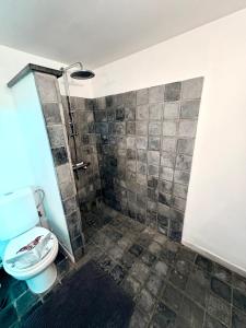 ein Badezimmer mit Dusche und Toilette in der Unterkunft MMGhome - Gîte à la ferme in Frasnes-lez-Anvaing + 25 Fotos