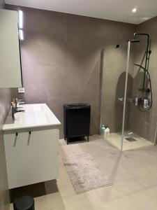 a bathroom with a shower with a sink and a counter at Nordheim Aparment in Tromsø +19 photos
