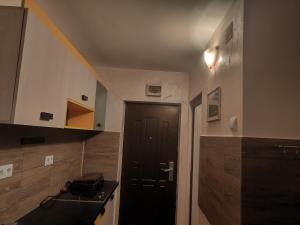 Køkken eller tekøkken på Garsoniera țiglina 1