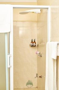 a bathroom with a shower with trees on the wall at Pinetree Gardens Residence in Eldoret