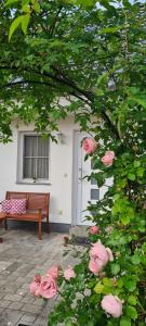 Un ramo de rosas rosadas delante de un edificio. en Ferienhaus Karola, en Kolpinsee