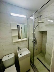 シビウにあるBalcescu Loftのシャワー、トイレ、洗面台を備えたバスルーム
