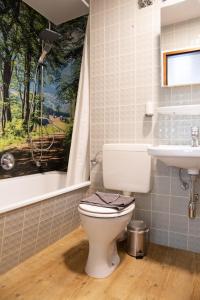 ein Badezimmer mit Toilette und Waschbecken in der Unterkunft Holiday&Stay Black Forest Pool 85 TV WLAN in Schönwald