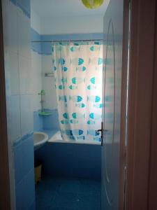 a bathroom with a tub and a shower curtain at nice apartment in Tunis