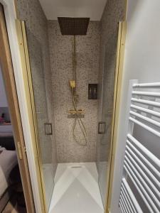 a shower with a glass door in a bathroom at Studio proche de Metz in Sanry-lès-Vigy
