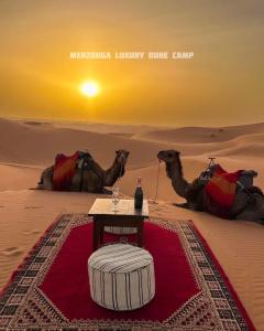two camels and a table in the desert with a drink at Merzouga Luxury Dune Camp in Merzouga