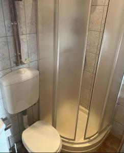 a bathroom with a toilet and a shower at R&M old town sibiu in Sibiu