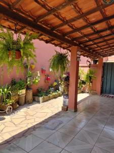a patio with potted plants and a pink wall at hostel da Eide - Inhotim in Brumadinho