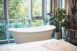 ハノイにあるThe Ivory Dragon Hanoi-Modern Stay with Private Balcony-Free Laundryの窓前のバスタブ(植物付)