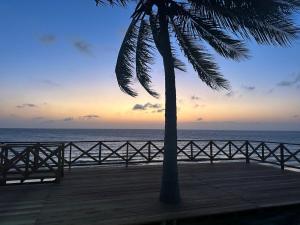 Naturlandskabet i nærheden af feriehuset