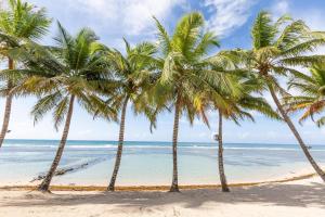 Imagine din galeria proprietății Beachfront 4beds Jacuzzi Privacy Full Kitchen în La Puntica de Juan Dolio