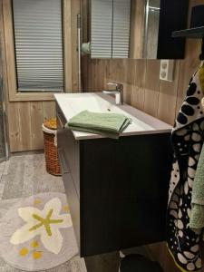 Koupelna v ubytování New Mountain Cabin With Views Over Eggedal + 23 fotografií