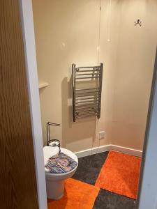 a bathroom with a toilet and an orange rug at Struan Cottage in Ballater +29 photos