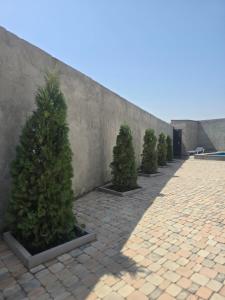 Gallery image of Apartament Proshyan in Yerevan